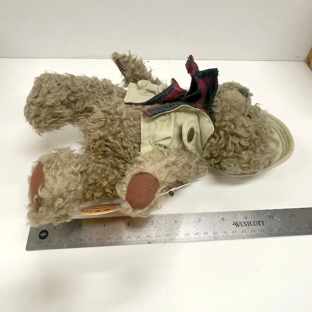 Vintage Pickford Bears Tanner Bear of Health Plush Brass Button Collectibles 11